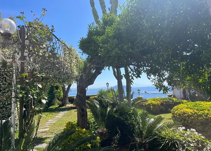 Summer ParadiseAlbergo